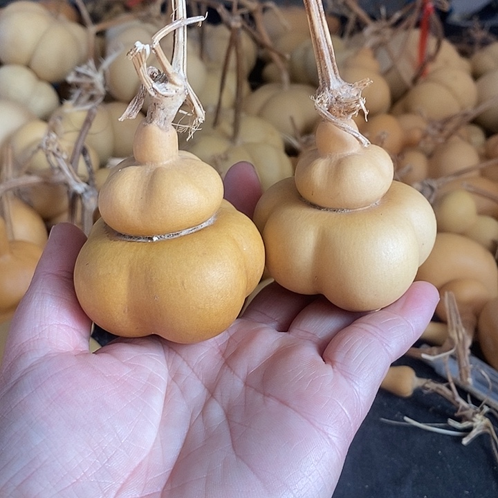 汤*葫芦的颜色很好看