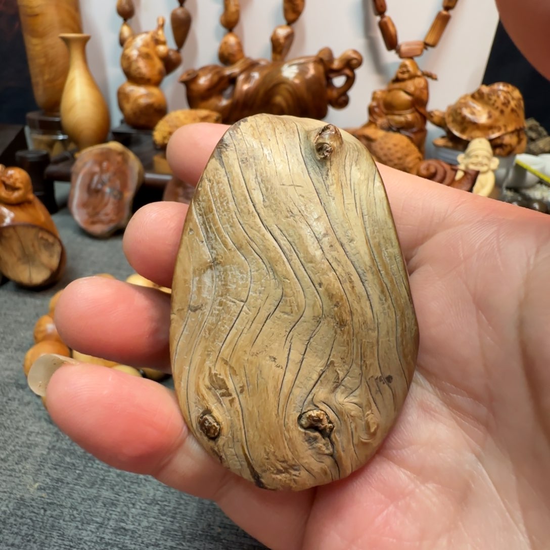 柏木（崖柏）我的小可爱们都好可爱