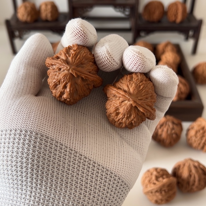 核桃全品白狮子无药