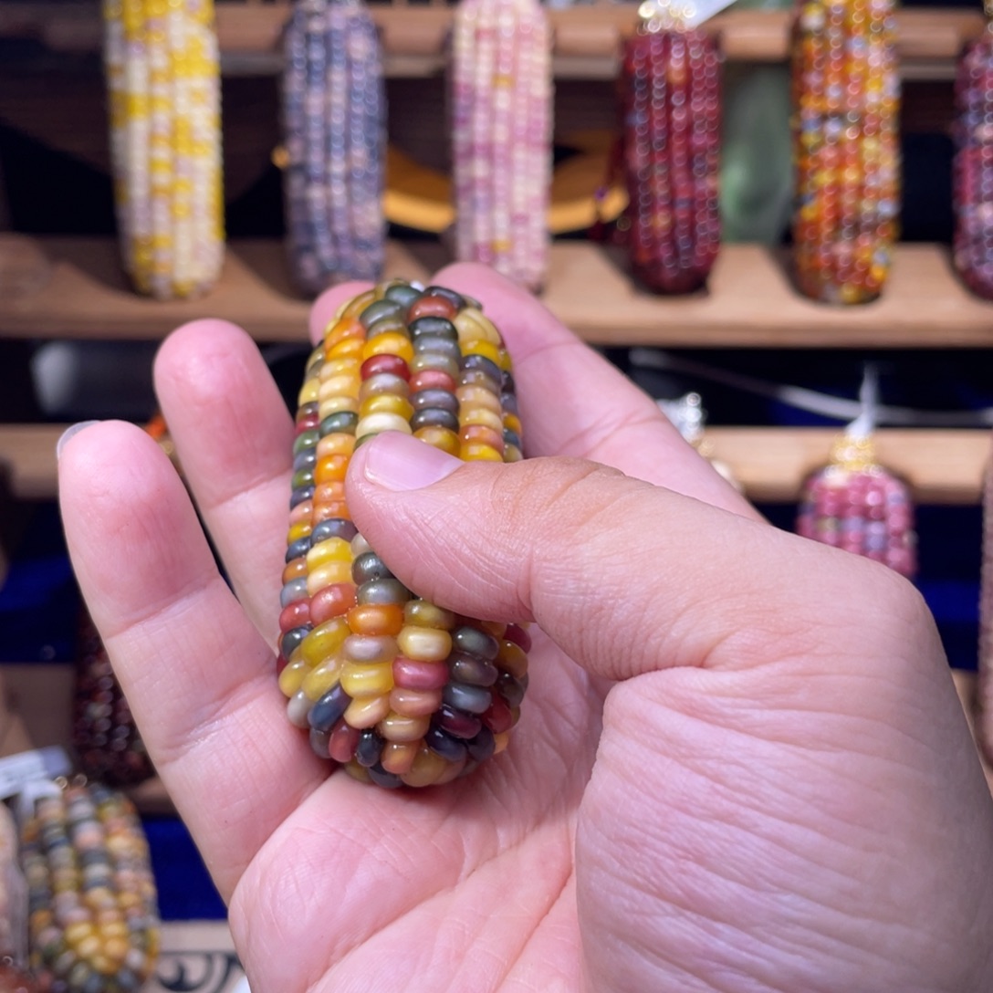 平***樂玉文玩玉米彩豆子