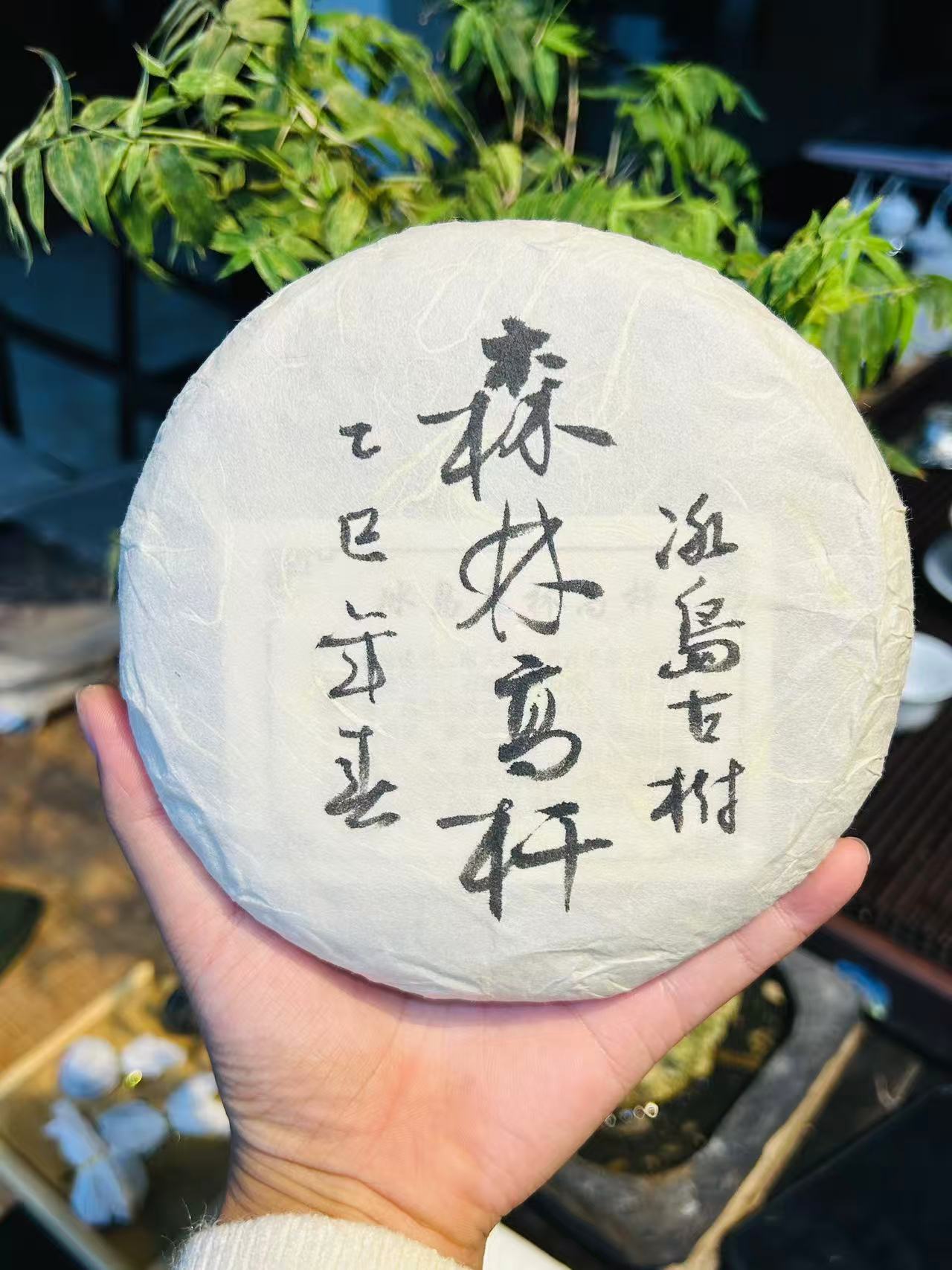 2025年头春【冰岛南迫·森林高杆古树】200g茶饼，带茶样