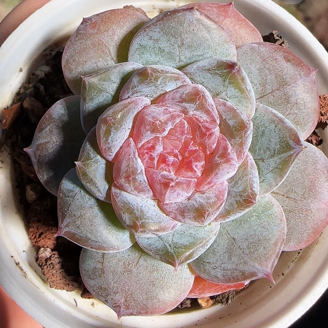 1120-------187糖心