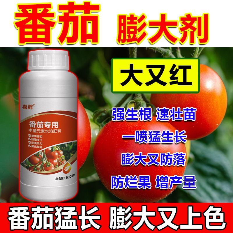 番茄专用叶面肥圣女果西红柿膨大素防裂增红着色防落增色增甜肥
