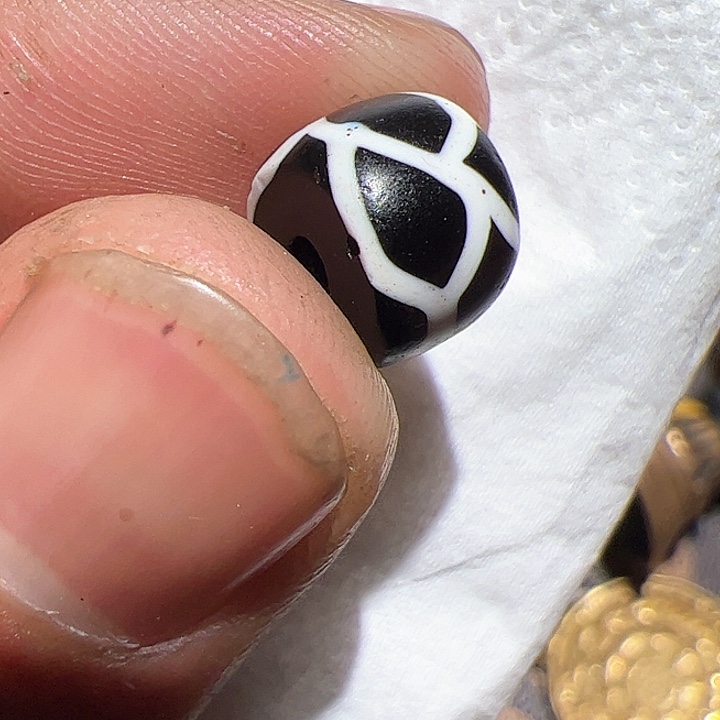 香榧木在家了一个人