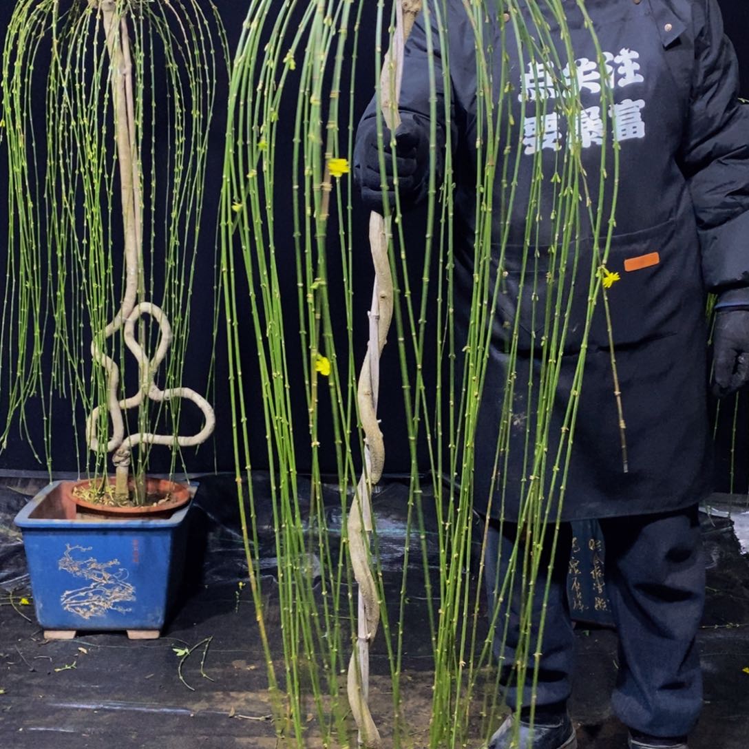 补运费，一物一拍，