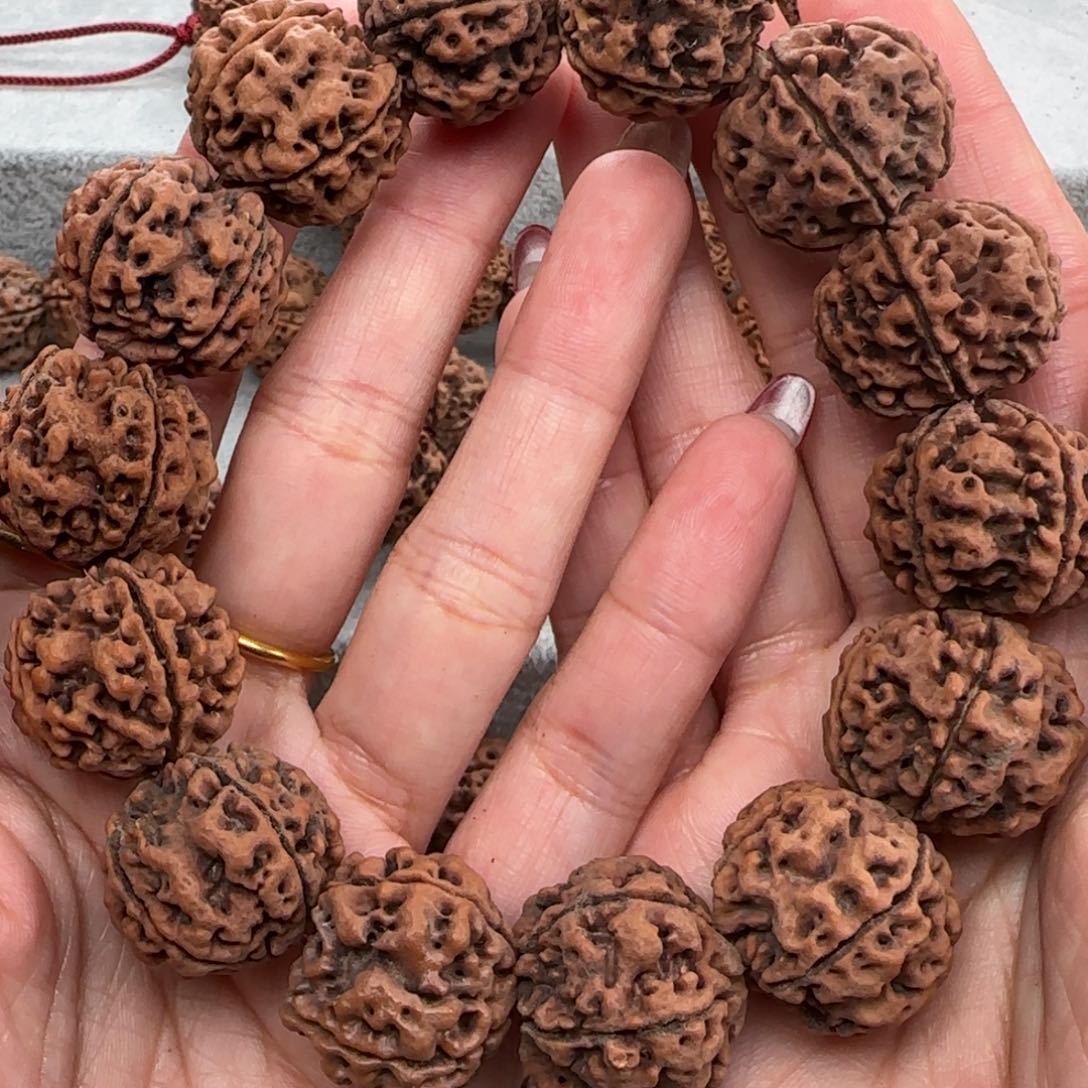 金刚菩提手串24古龙蜂王福利