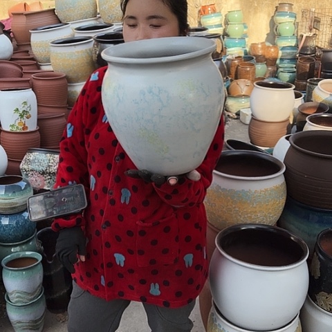 25口27高盆子盆子 