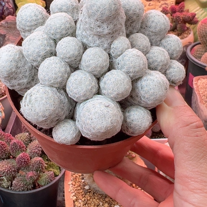 f****可可以说是我不想和你