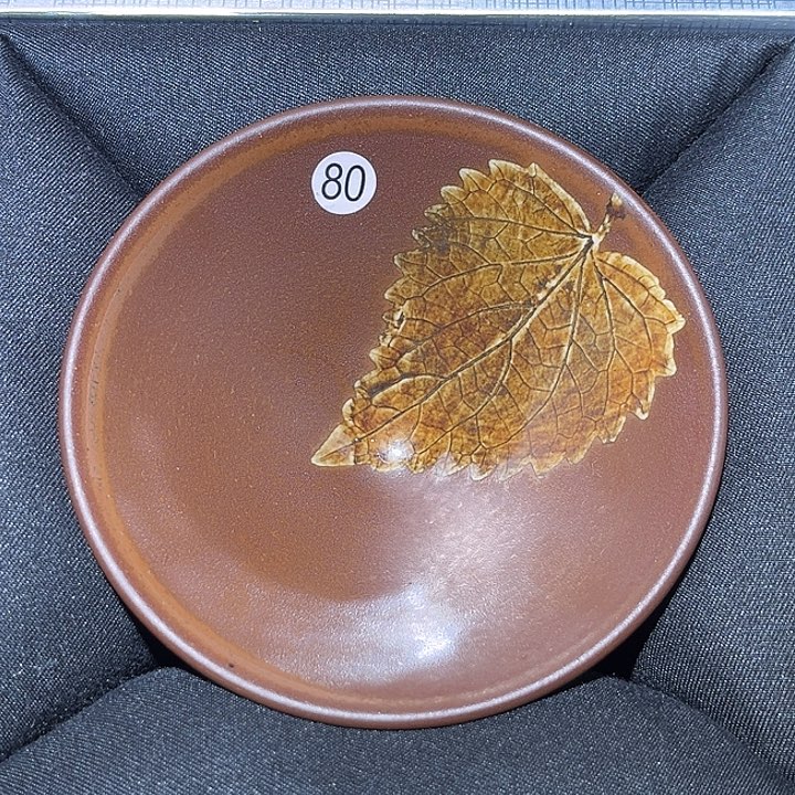 茶盏乐乐乐乐乐乐乐乐乐乐