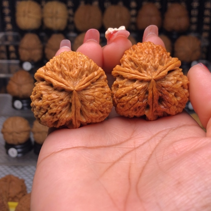 橄榄核吊坠7盘龙玉凤三楞