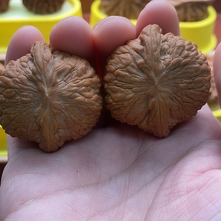 文玩核桃吊坠小众