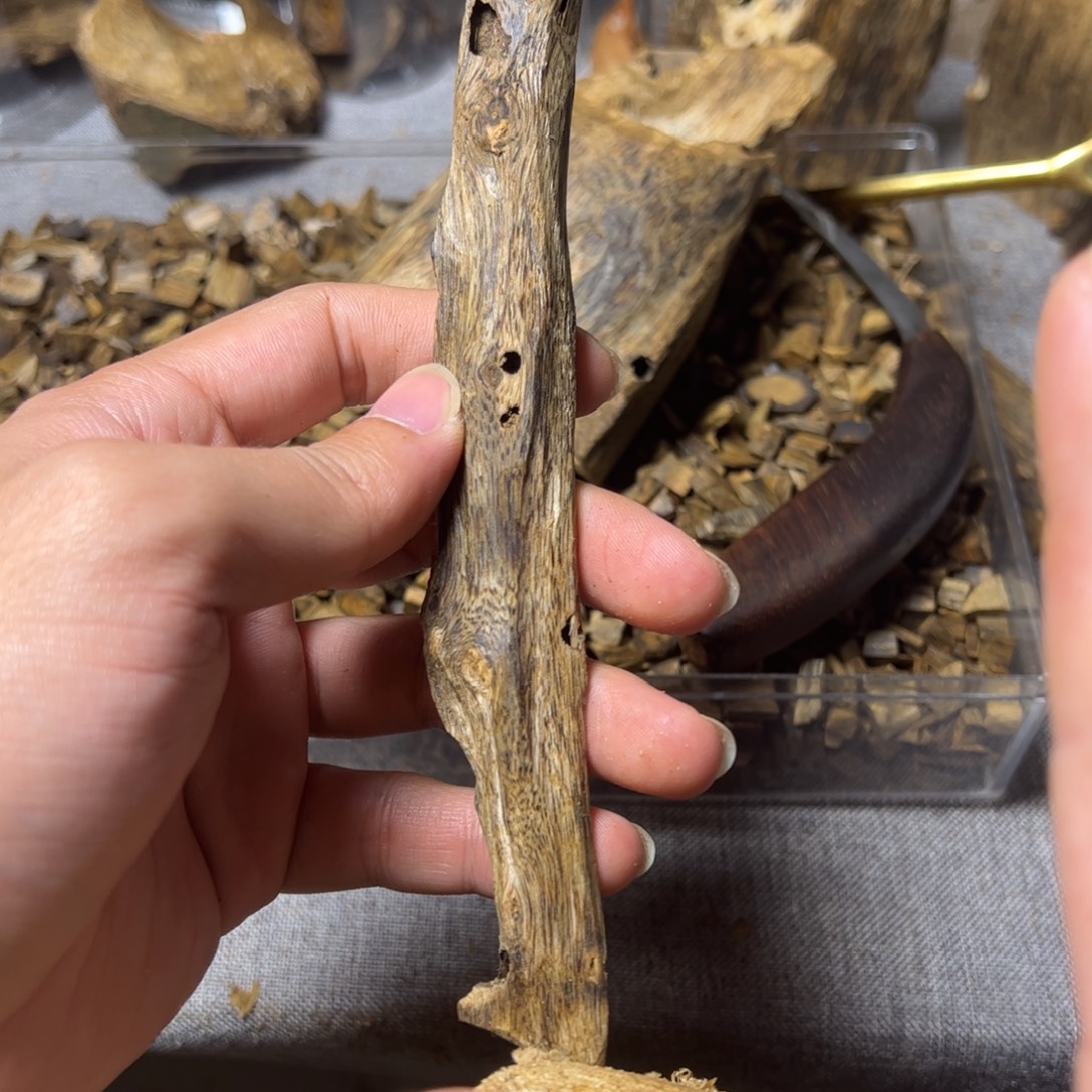 沉香沉香碎屑虫漏16克