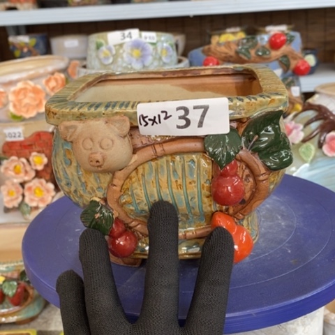 【闪购商品】红陶1