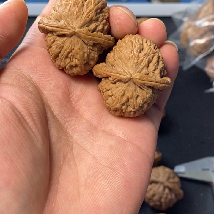 桃核把件56775545677