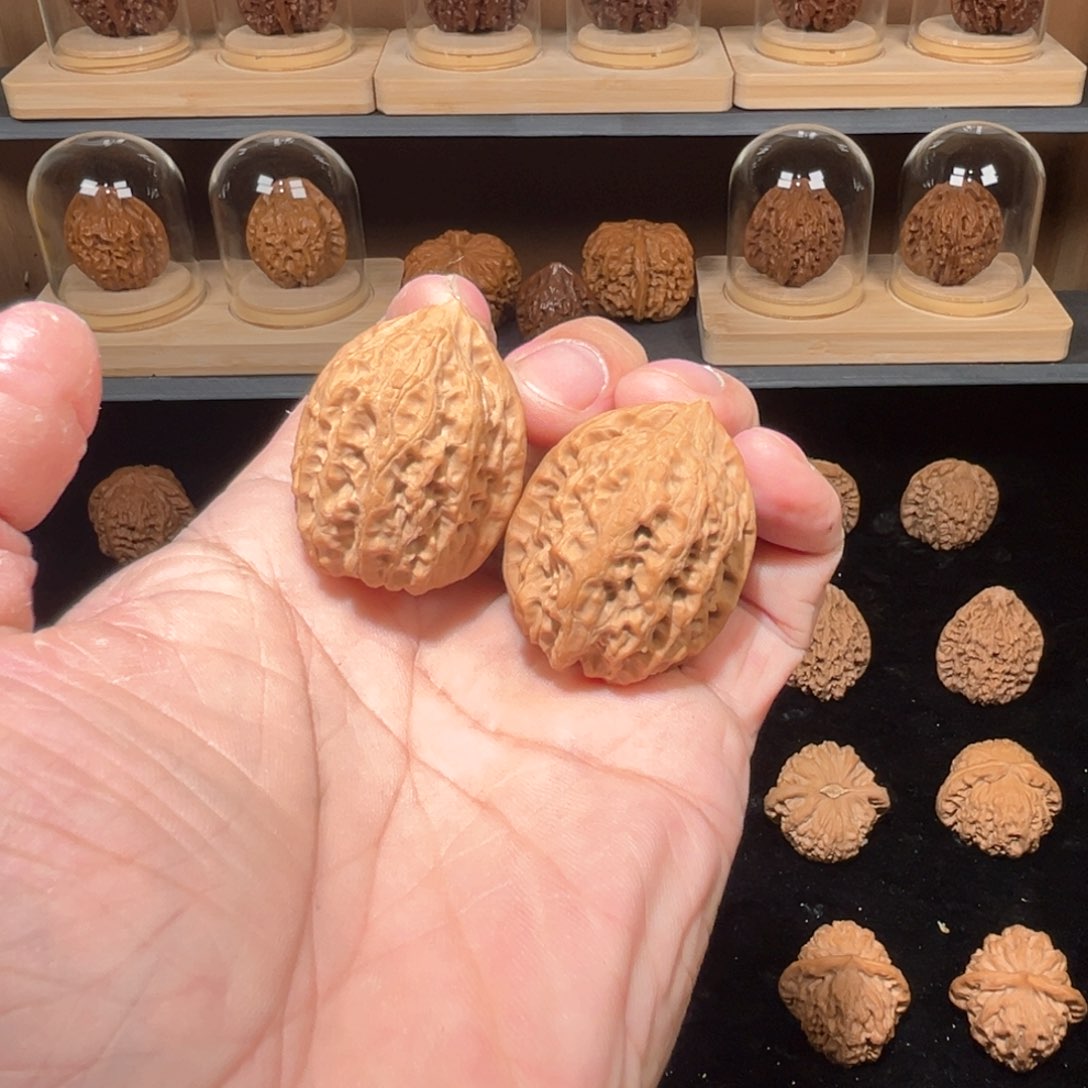 核桃其他山**风全品一代沈鸡