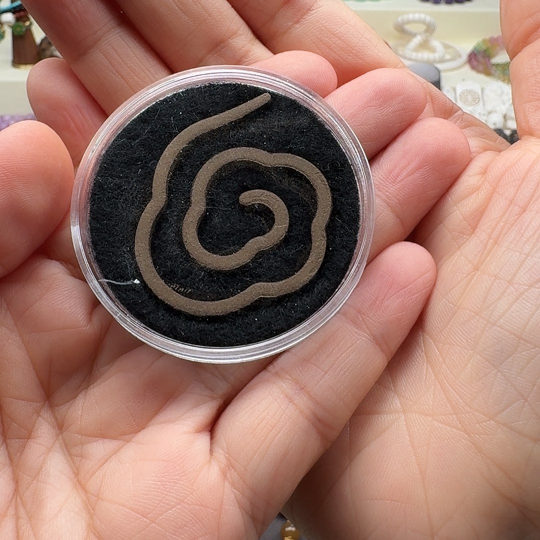 一***虎老山檀香盘香盘香