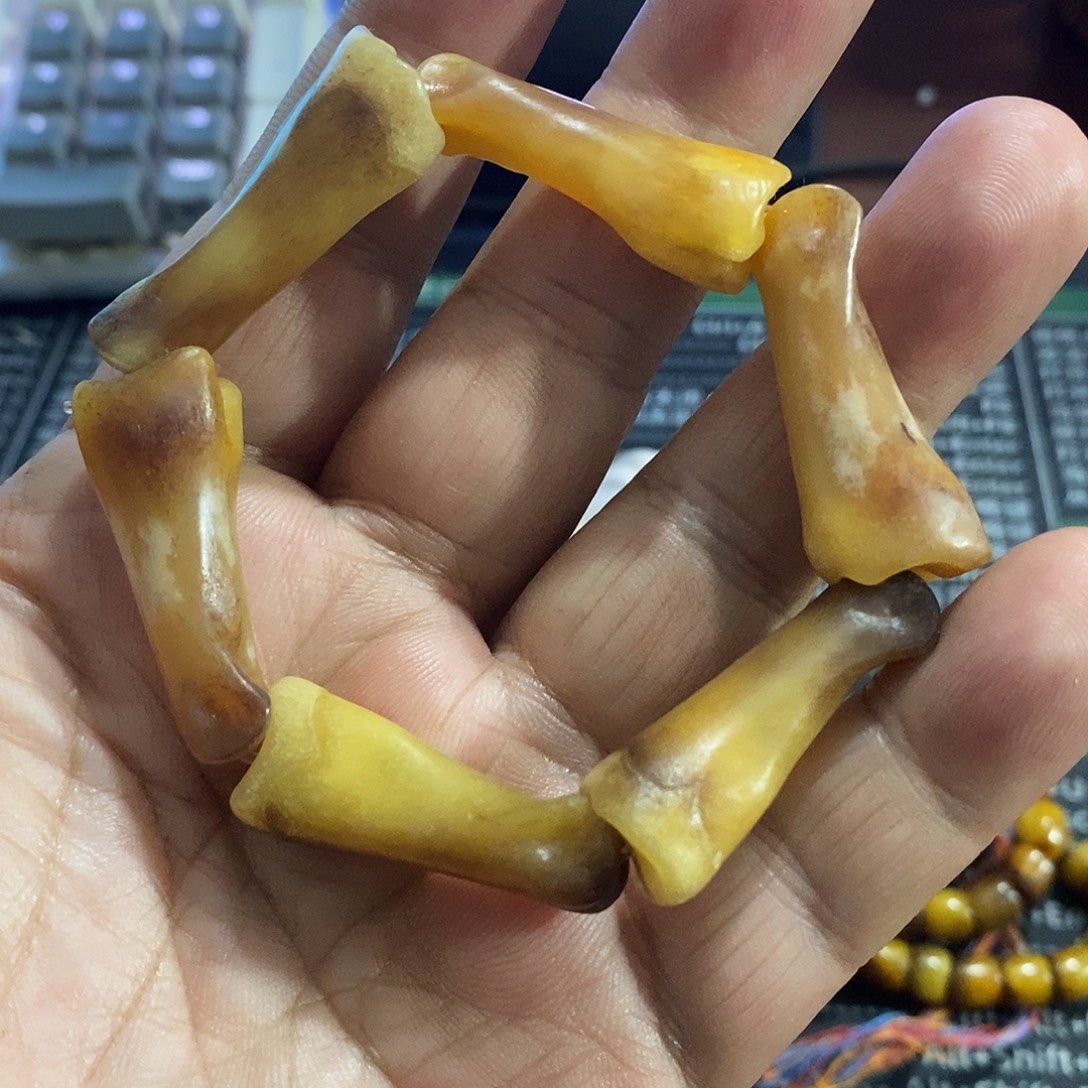 菜***羊非金属鹿角的形状与其形状相似的