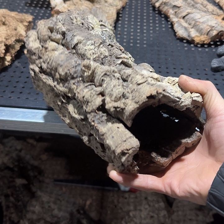 空***k无花朵一物一拍一物一发