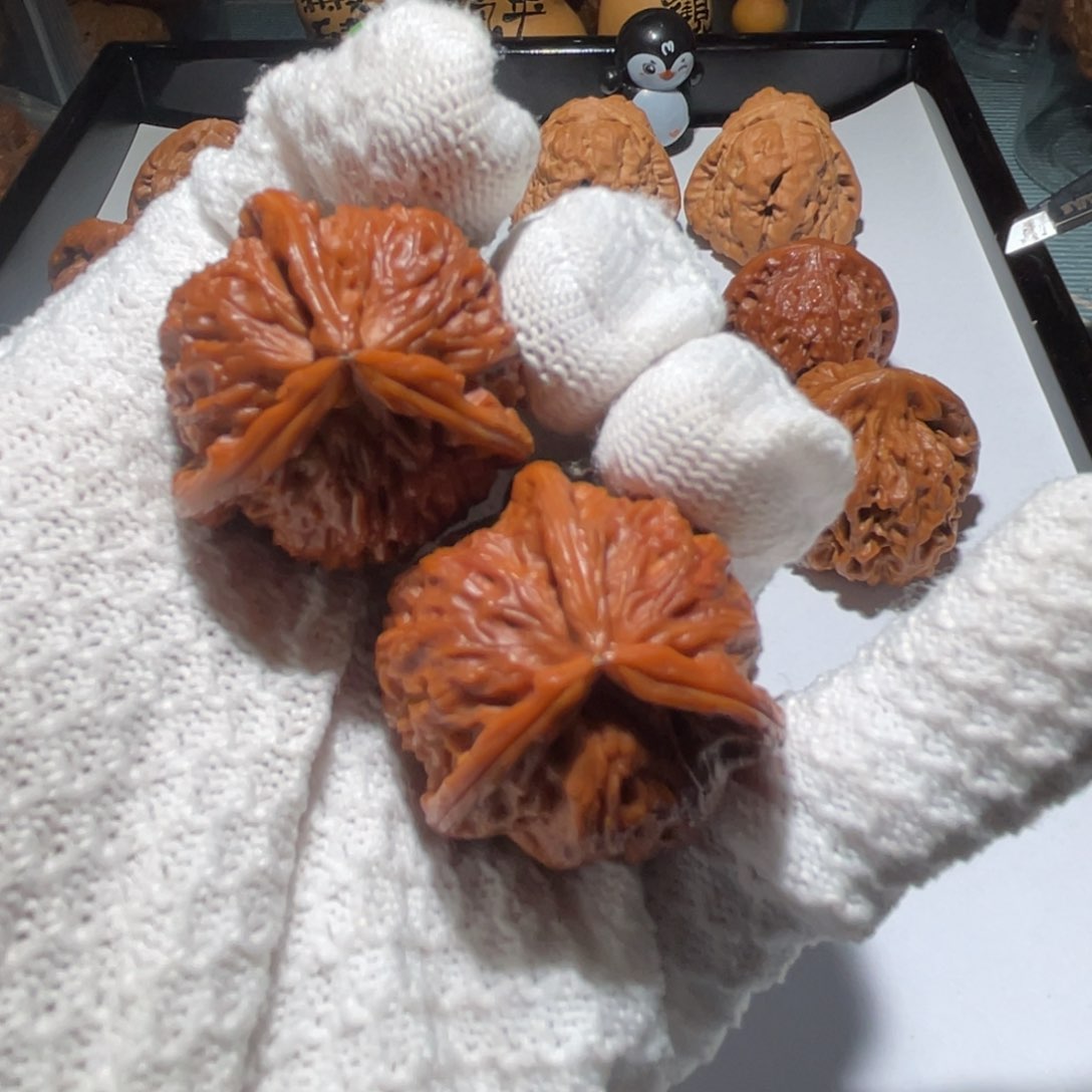 核桃手串/手链精品白狮子奔35