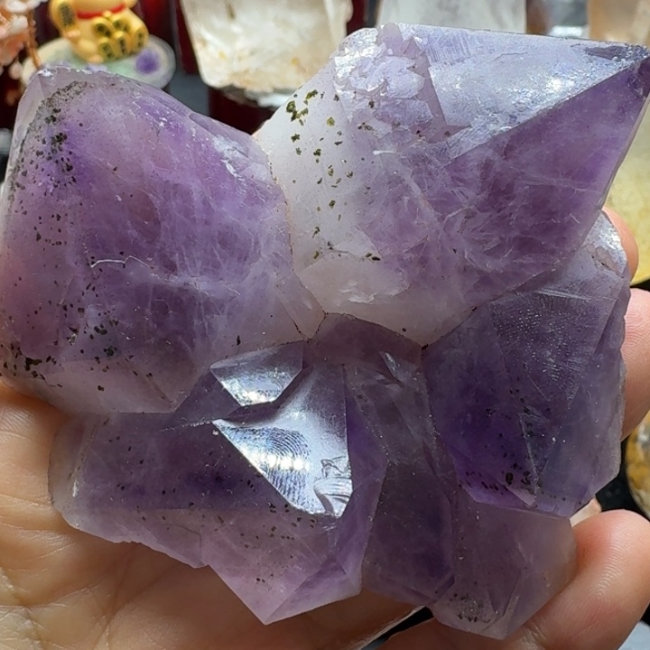 石材花园绿帘共生