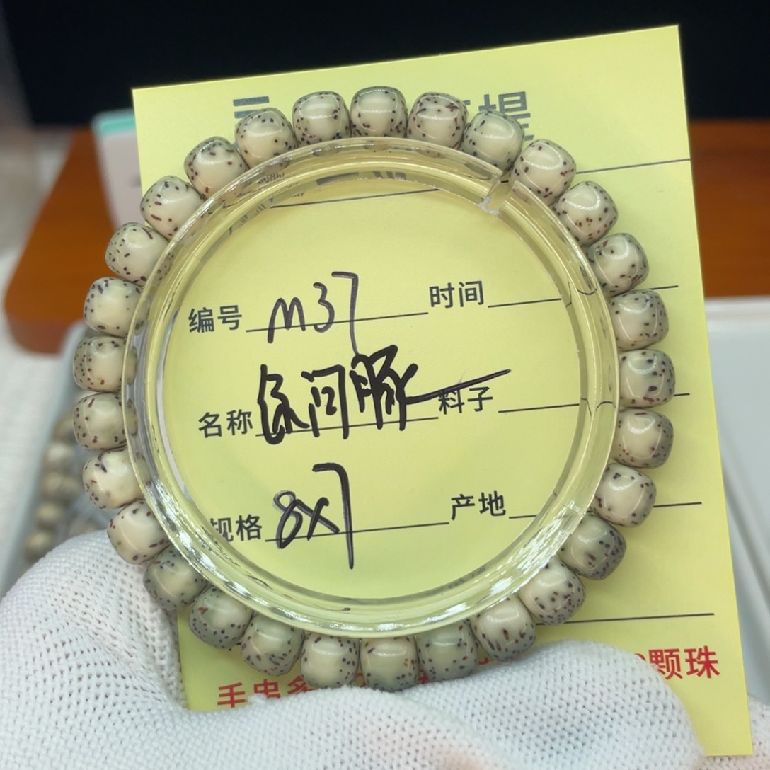 菩提籽类M绿背河豚