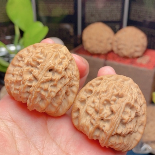 文玩核桃吊坠41全品三角白41