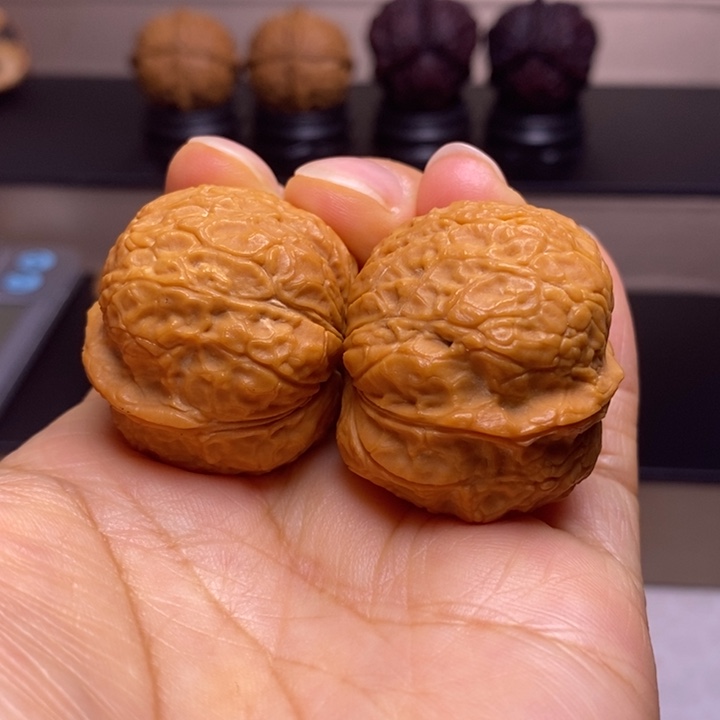 文玩核桃把件龟甲元宝蟾43