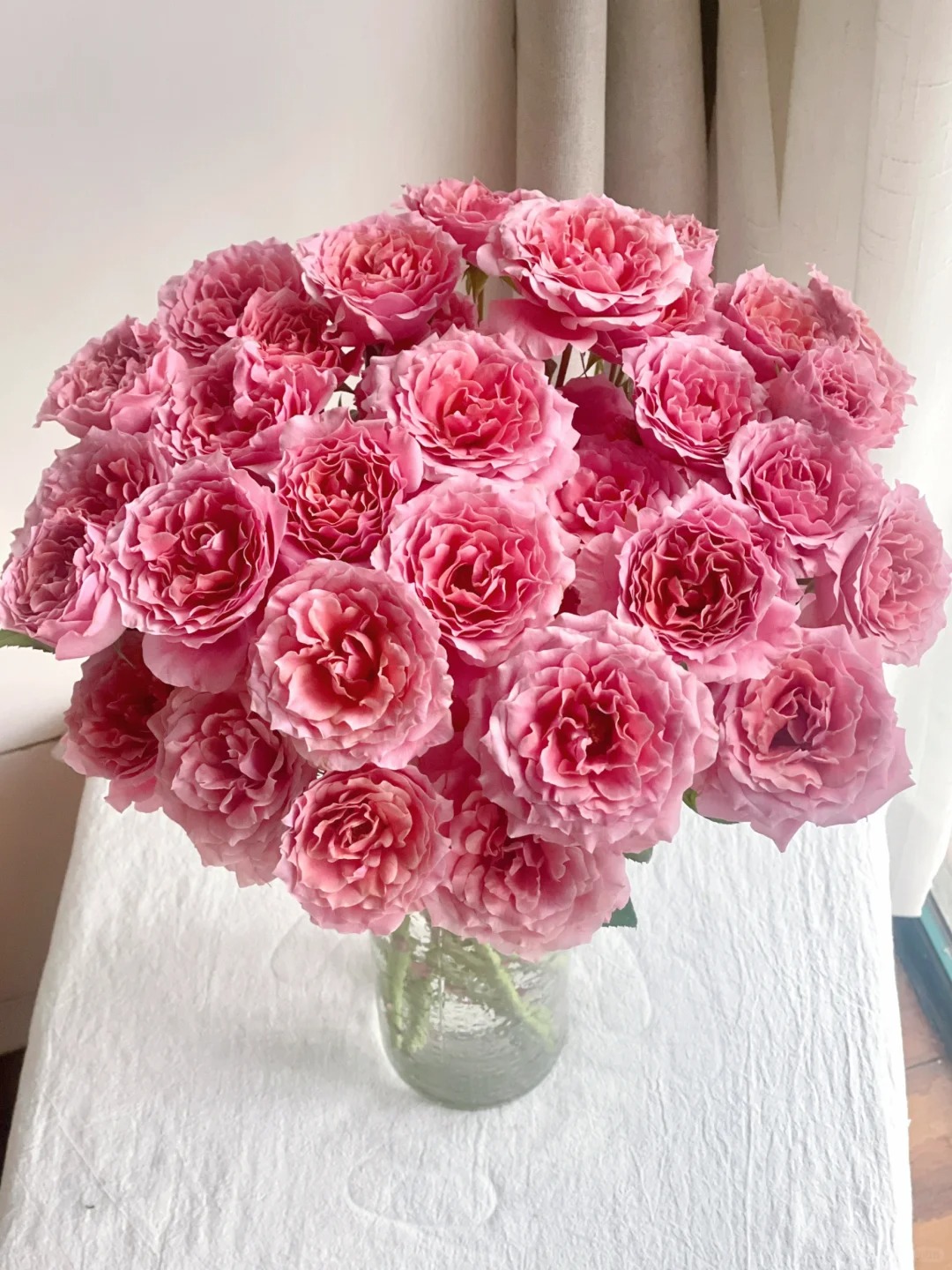 A级【粉拉拉队多头玫瑰】鲜切花两单普快三单顺丰冷链送货上门