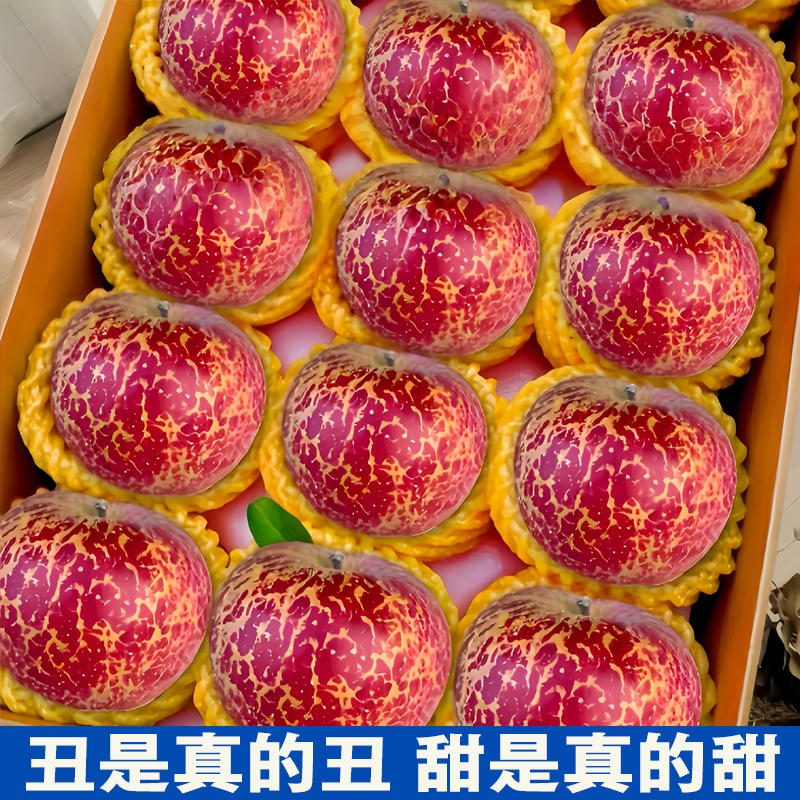 正宗当季云南昭通糖心丑苹果产地直发直播包邮现摘新鲜水果冰脆甜