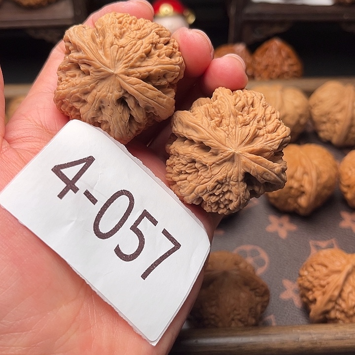 核桃42全品粗筋4057