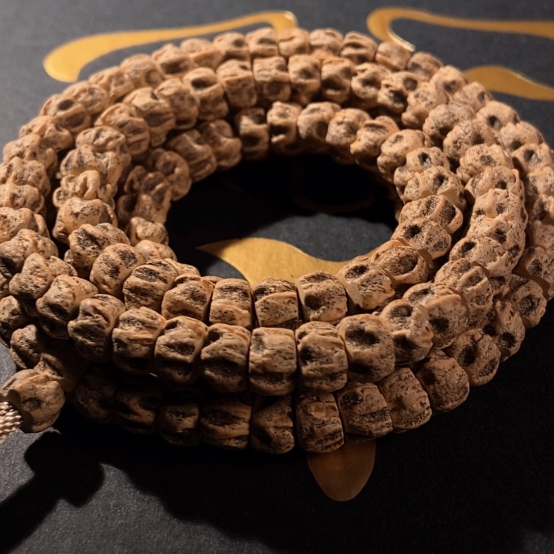 吊坠柏香籽/百香籽虚肠