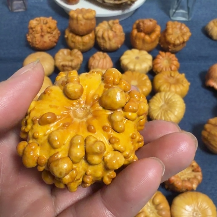 狗****墨西哥七彩疙瘩葫芦瑕疵不退货