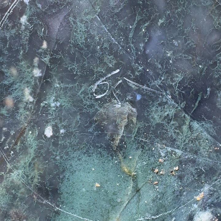 宋***健定制玛瑙玛瑙手镯