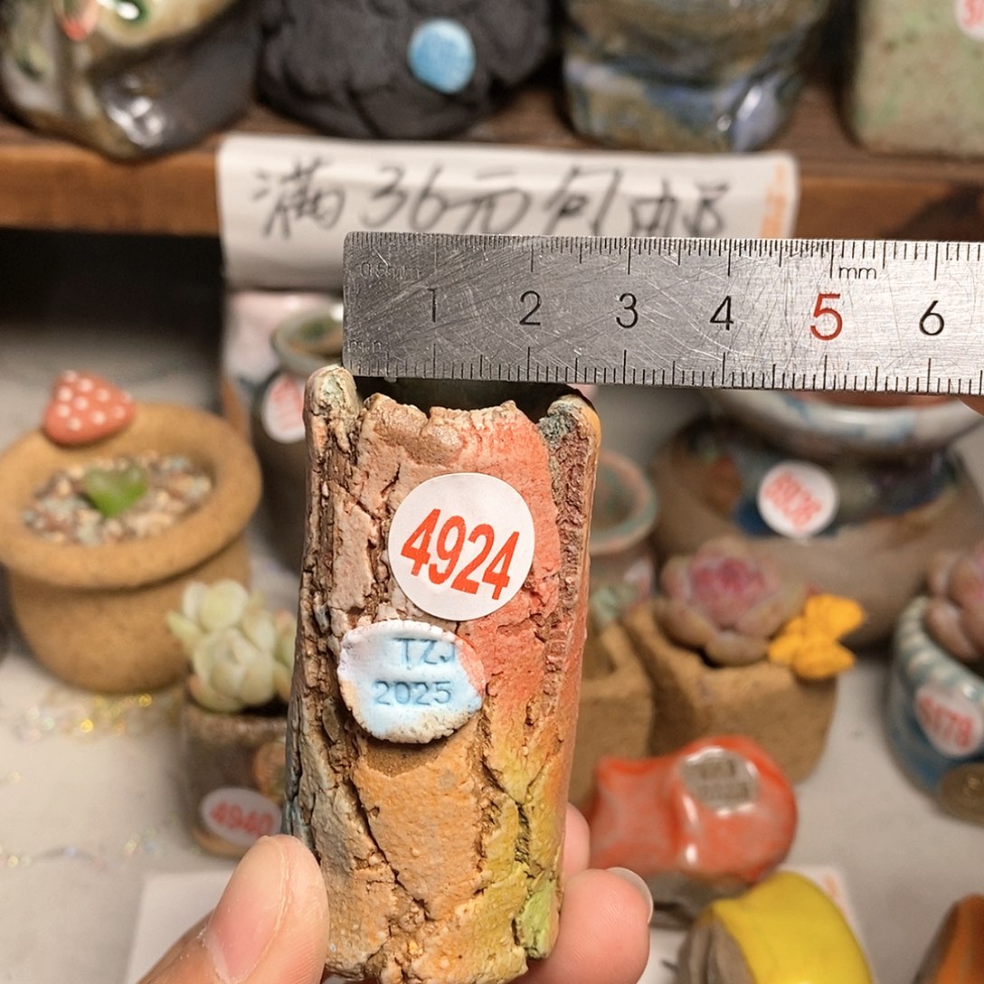 红陶拍5送一个小