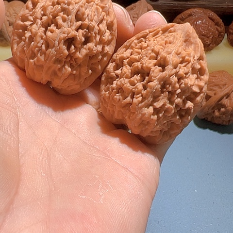文玩核桃把件蚂蚁王38