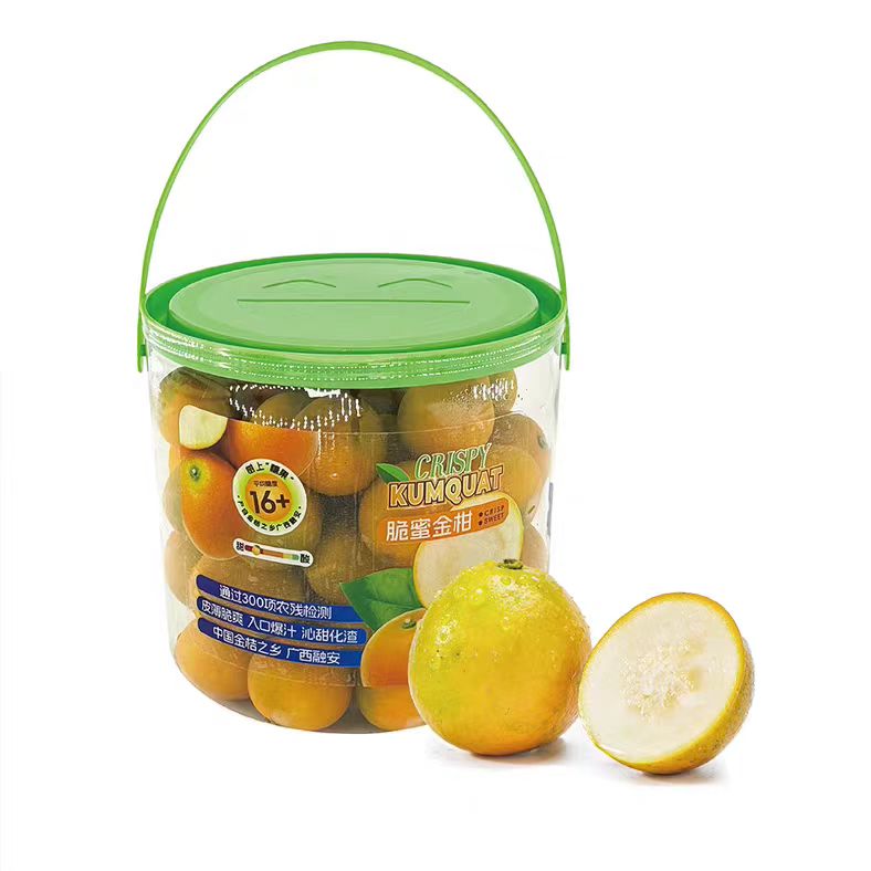 脆蜜金柑新鲜橘子水果礼盒 净重1.1kg/盒 小金桔 顺/京