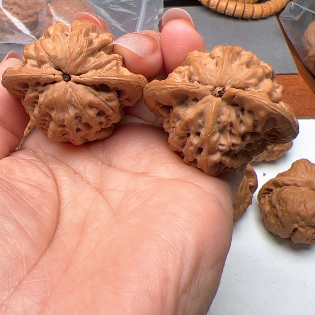 文玩核桃把件金公子红