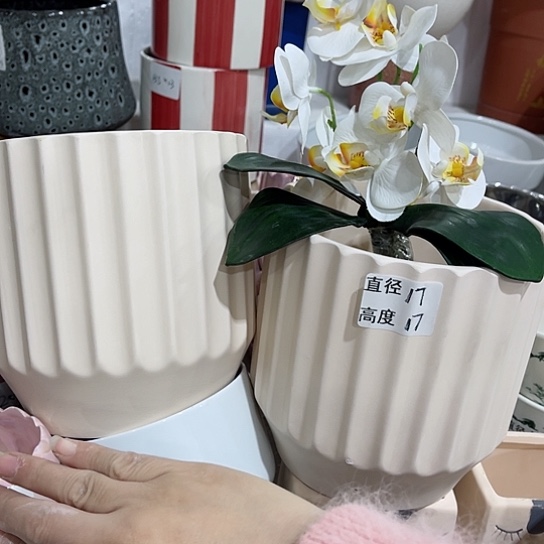 多肉绿植陶瓷花盆