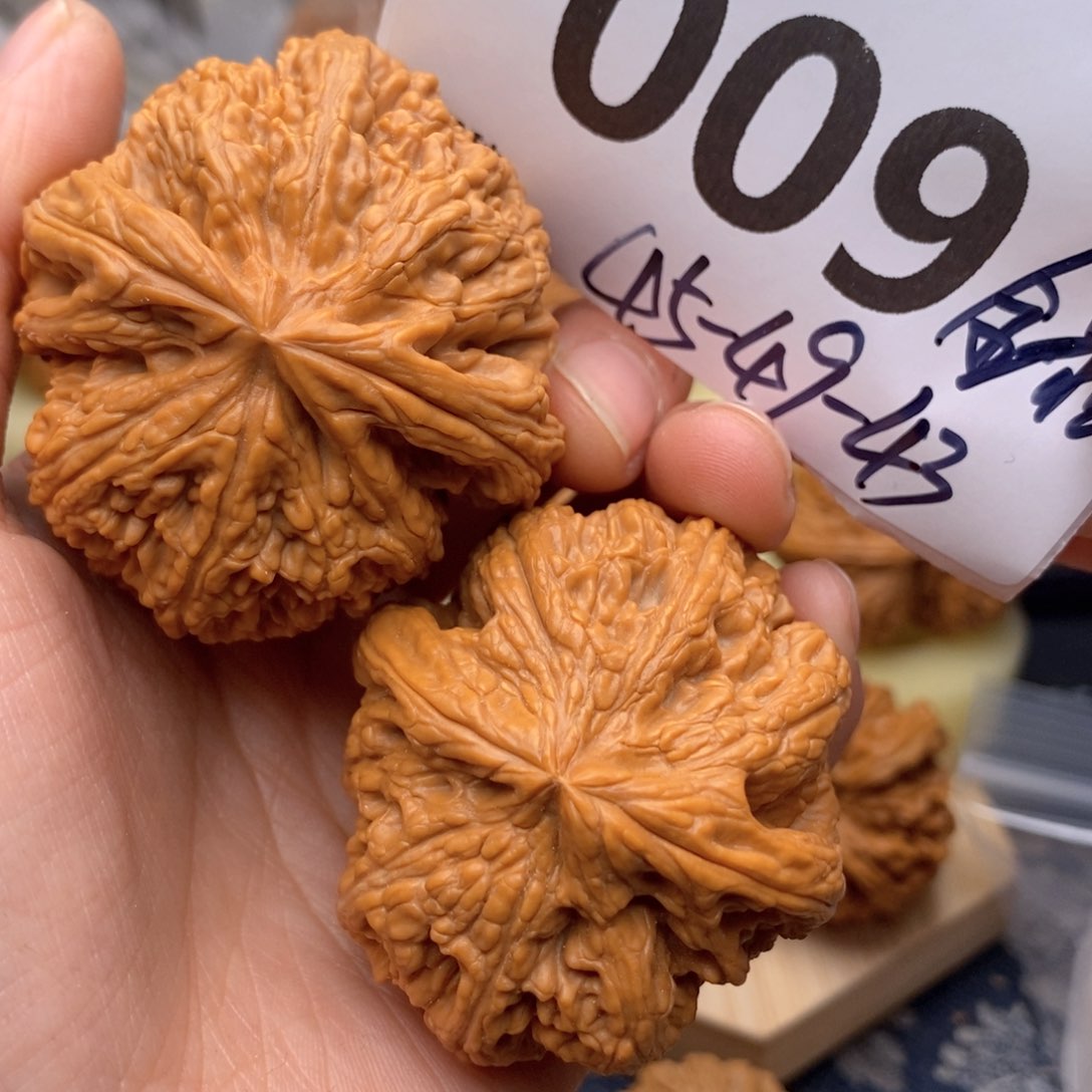 文玩核桃把件009号线45-49粗筋