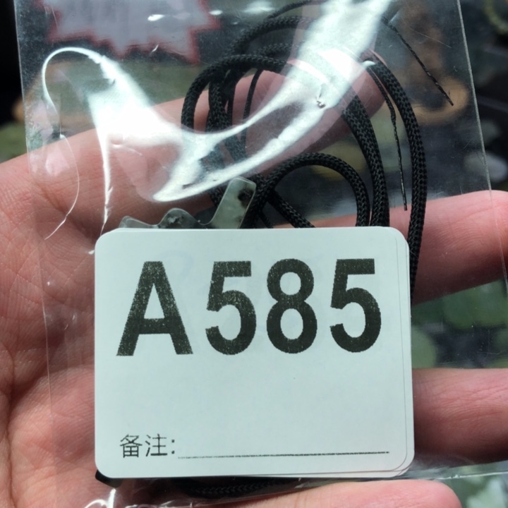 未镶嵌岫玉吊坠(赠链)