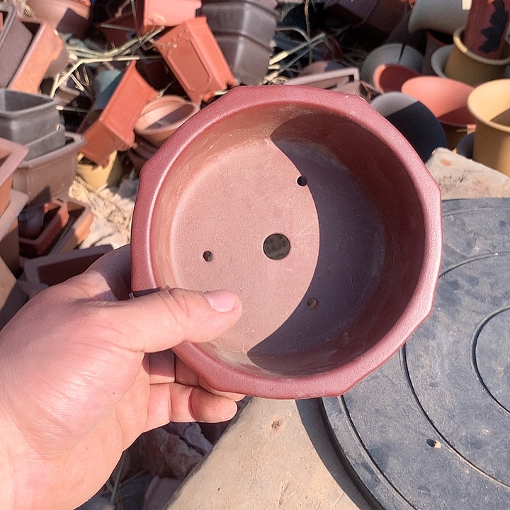 紫砂没有那么好吃我的人生