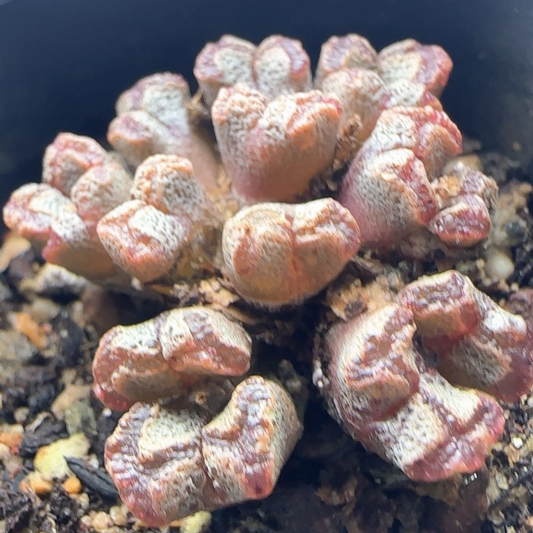 开播福利就是我45908