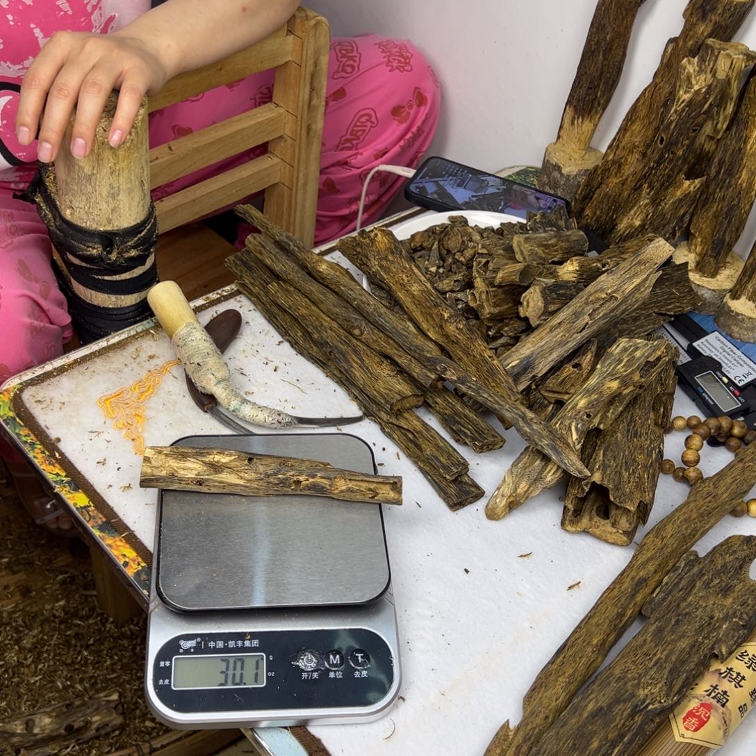 线香奇楠虫漏香30克