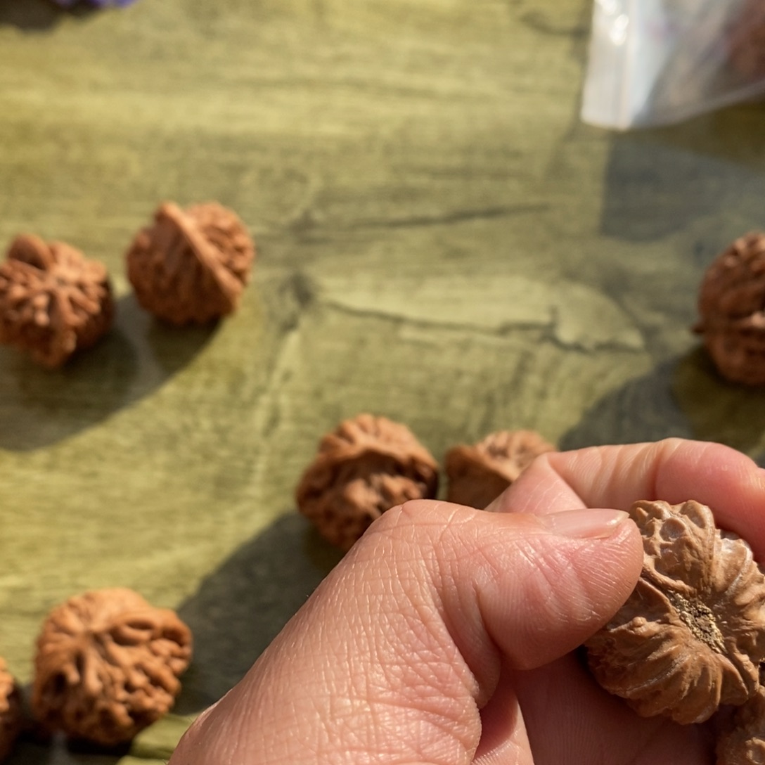 秦岭南侧与黄河北岸之间