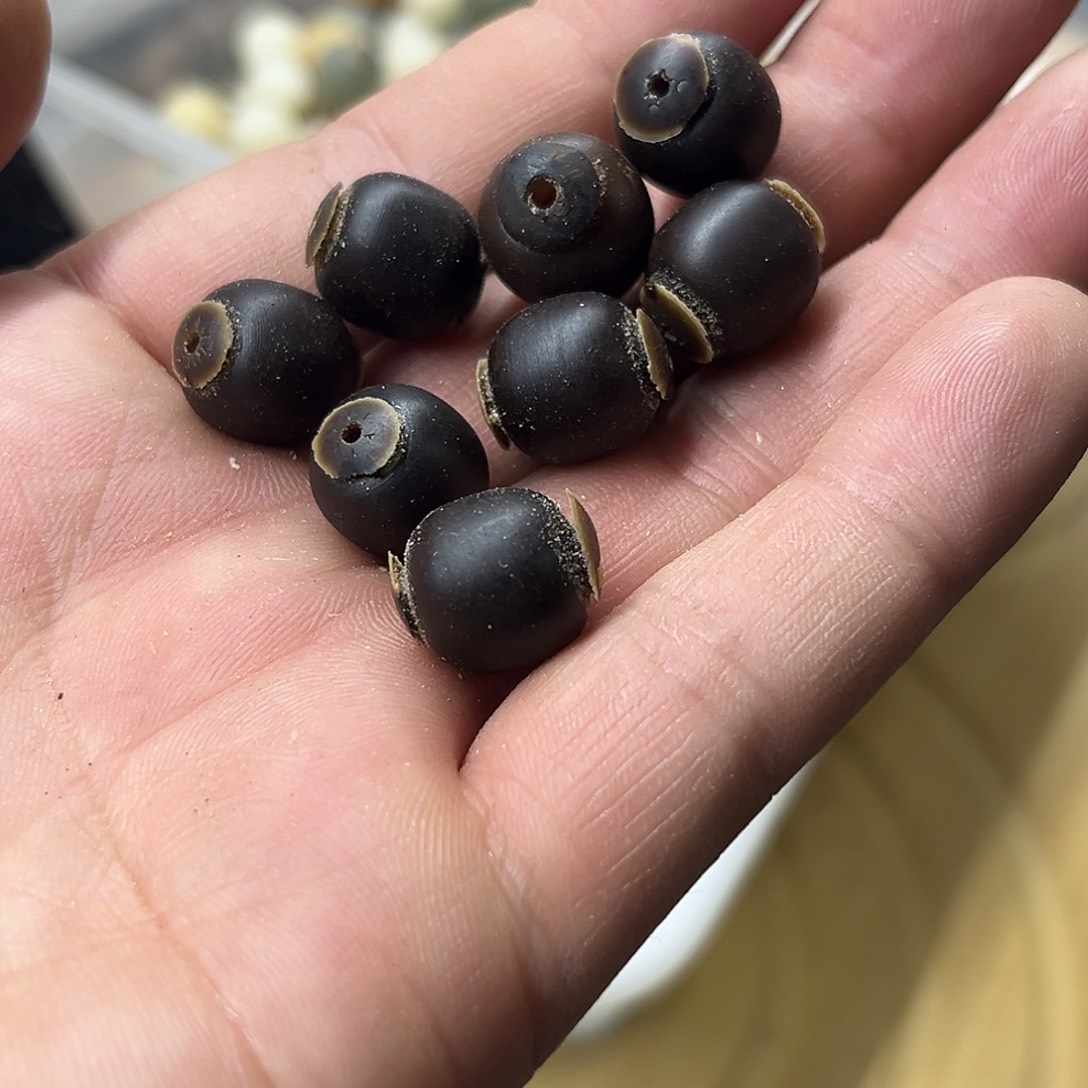 竹***凉手串菩提根/象牙果