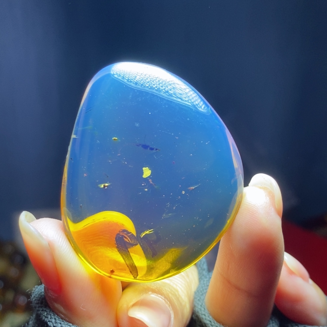 裸石琥珀未镶嵌珀
