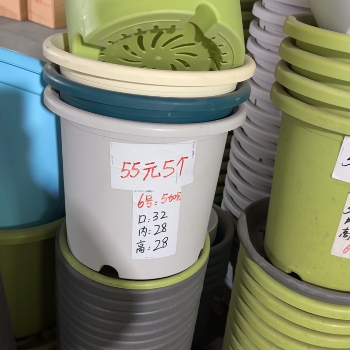 微瑕6#口径32无托果绿5个