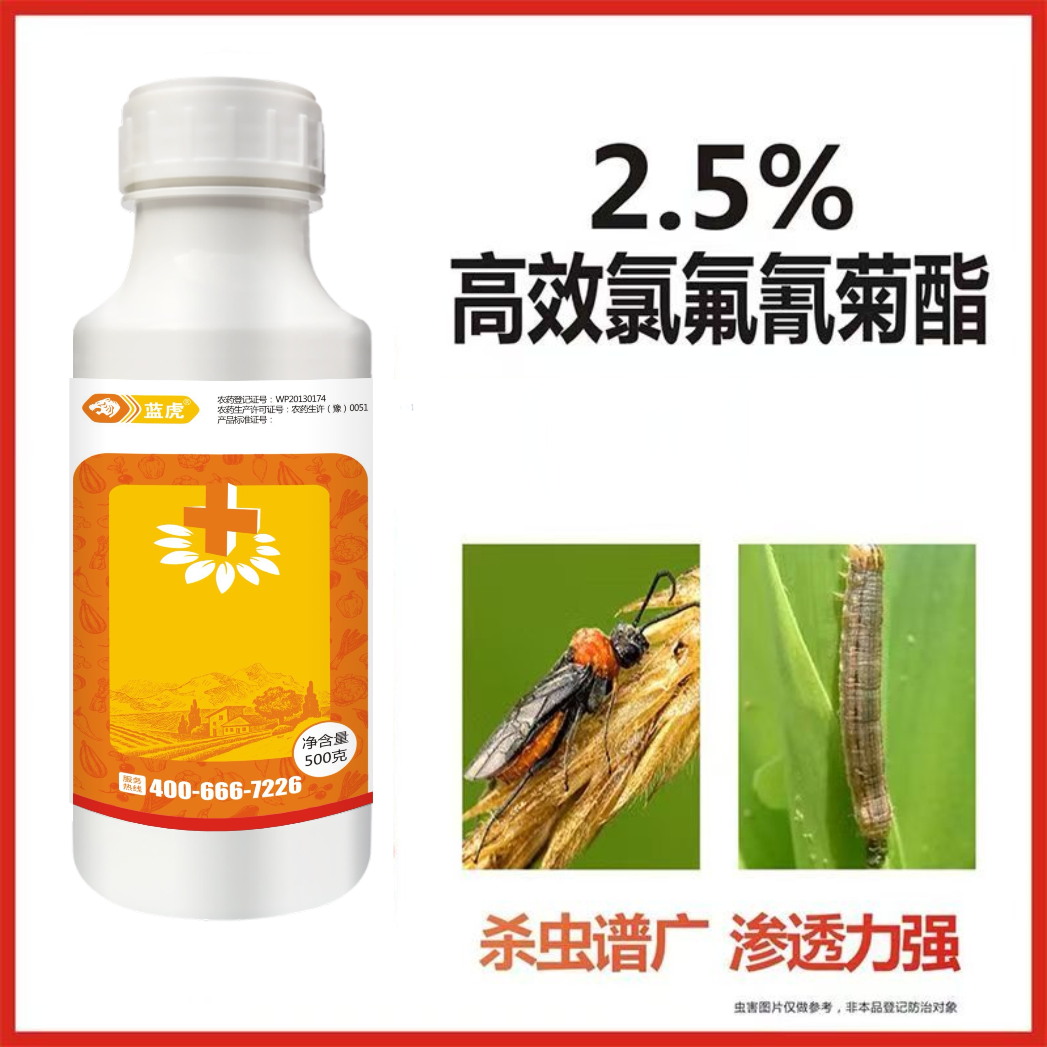 勇冠蓝虎功夫菊酯甘蓝花生玉米水稻小麦瓜果蔬菜通用卫生杀虫剂L
