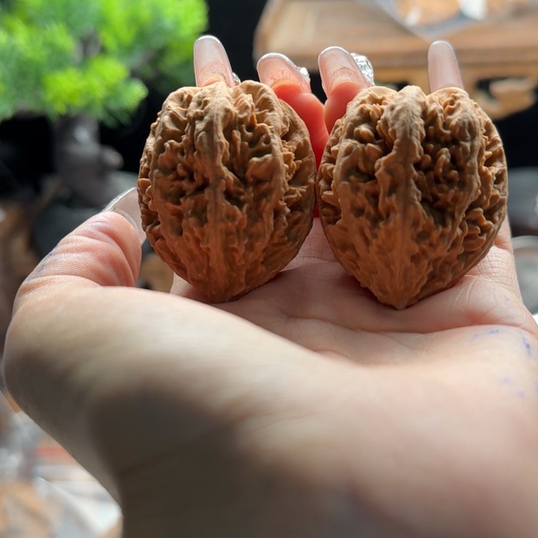 文玩核桃把件关东木子楸百核179