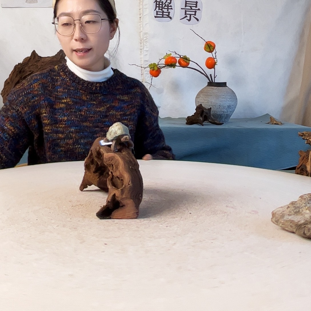 沉木造景爬宠造景